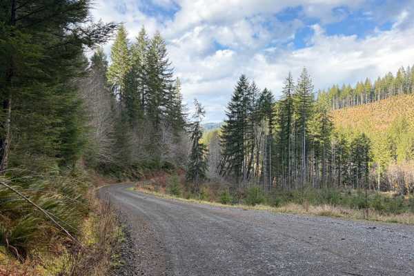 Ginger Creek Road