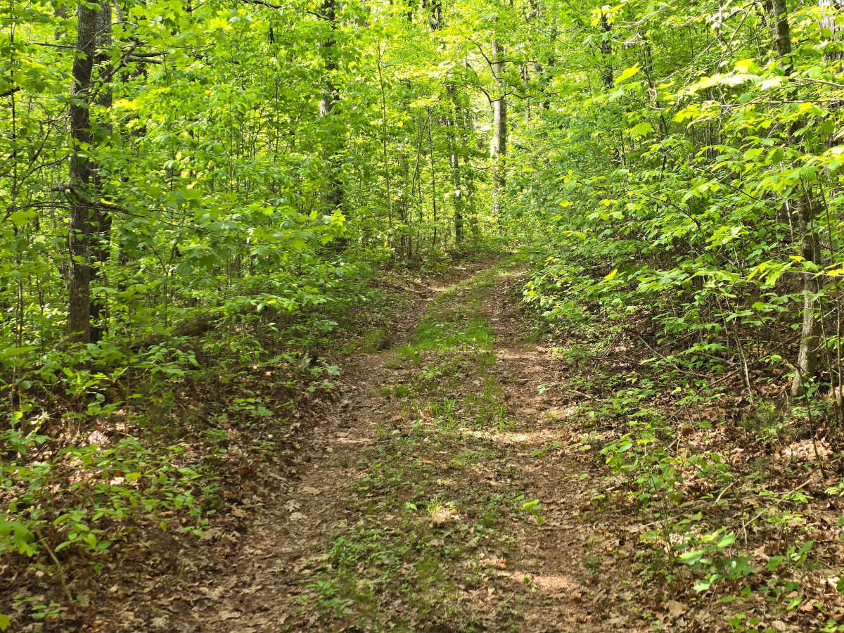 Doc Stiles Road photo 6