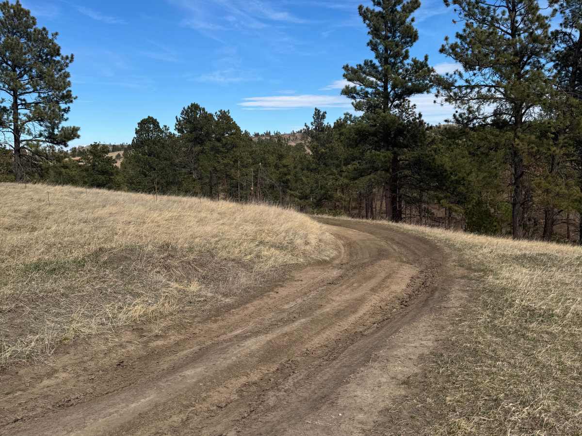 Strong Canyon Run  photo 4