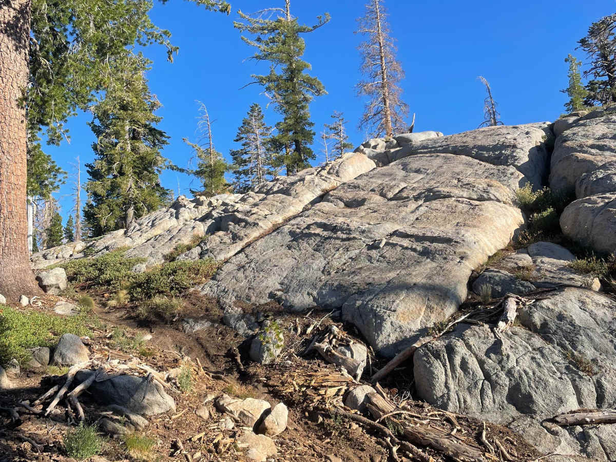 Buck Pasture Trail (West) photo 3
