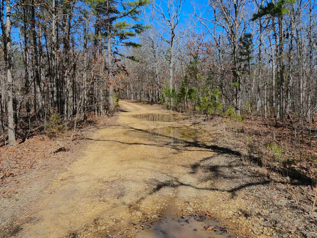 Coffman Hollow - FS 2907 photo 6
