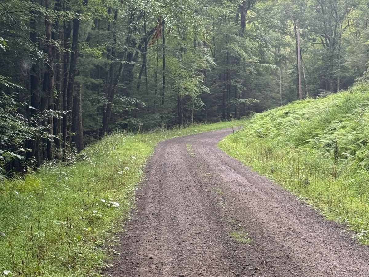 Sand Spring Road photo 4