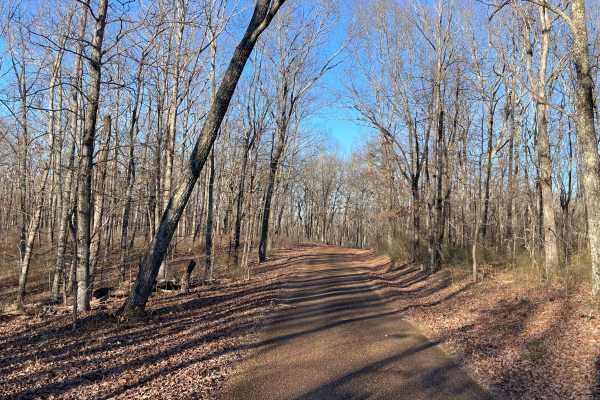 Laurel Hill Road