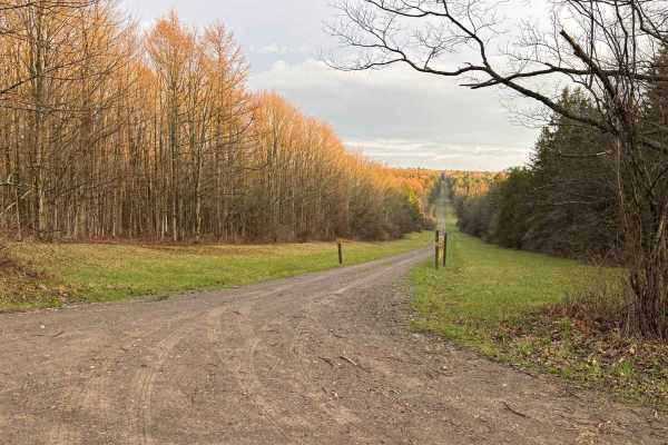 Stewart Forest Road