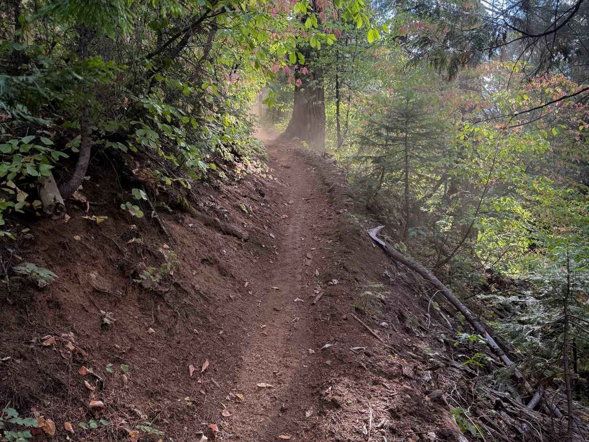 Omega (#5)   trail photo