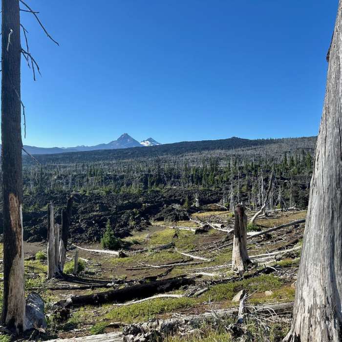 Near Pacific Coast Trail: Mount Washington Wilderness Near Pacific Coast Trail: Mount Washington Wilderness