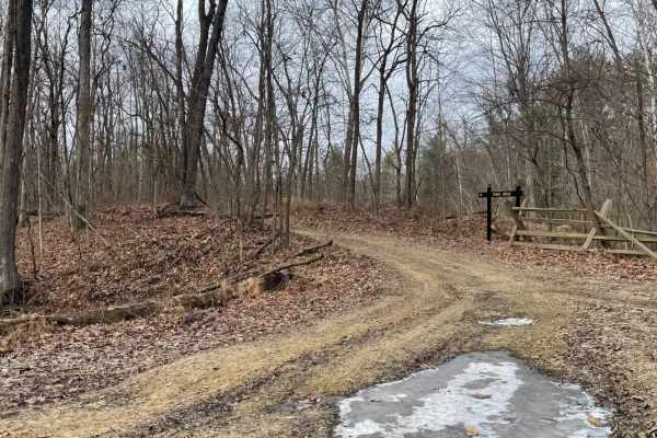 Redbird Trail 5