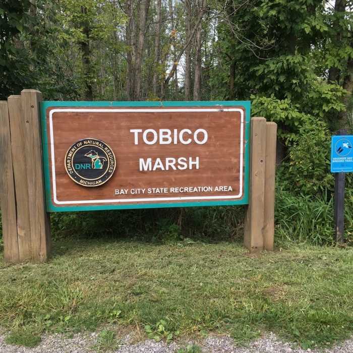 Near Tobico Marsh Trail