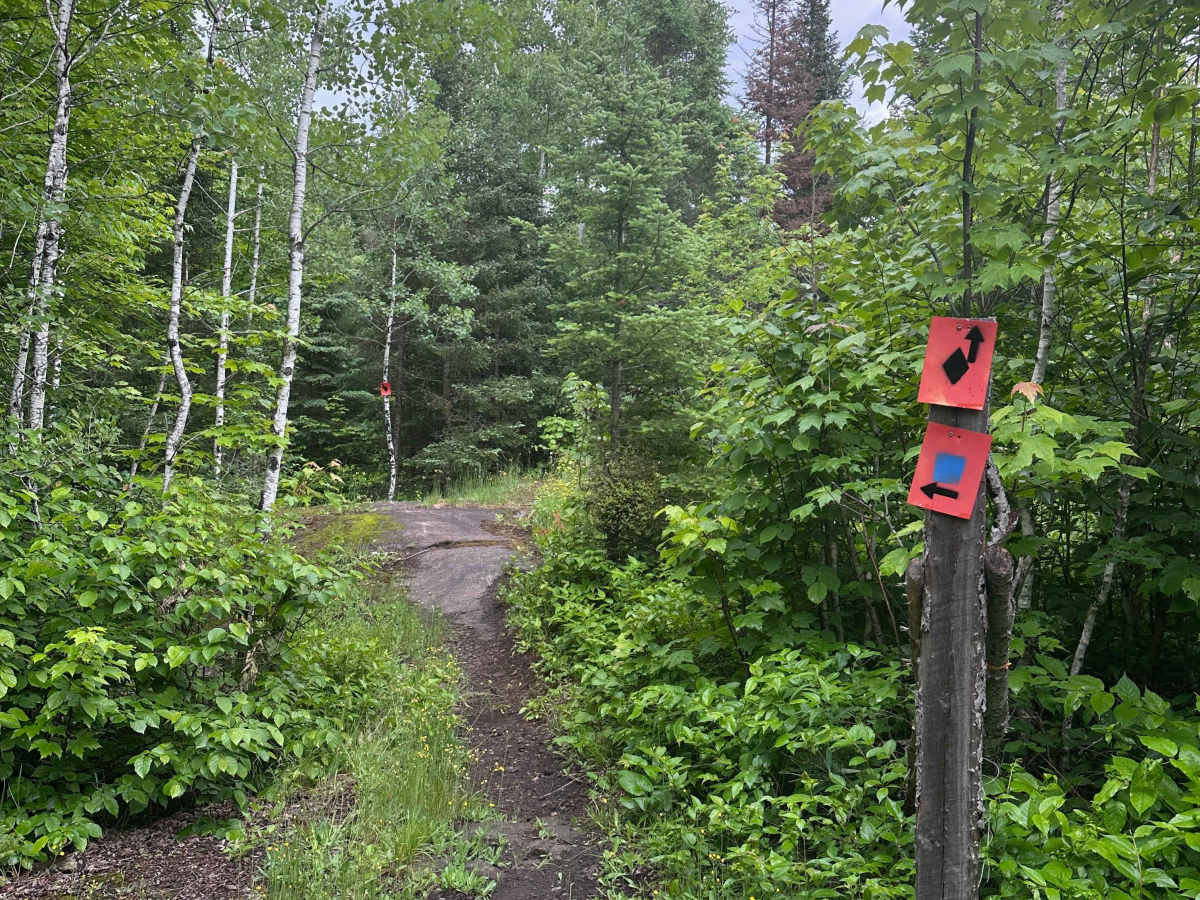 Alger Grade - Trail 7 photo 5