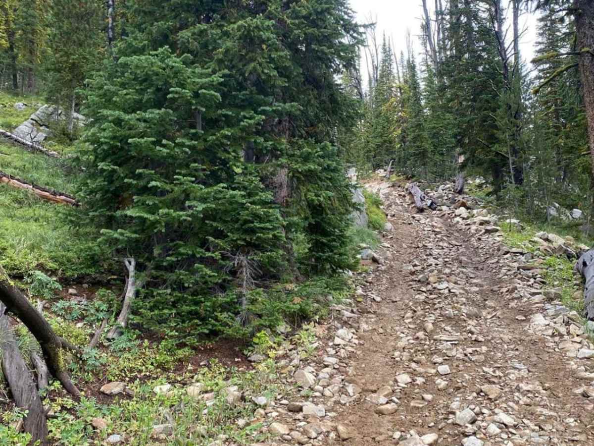 Fisher Lake photo 5