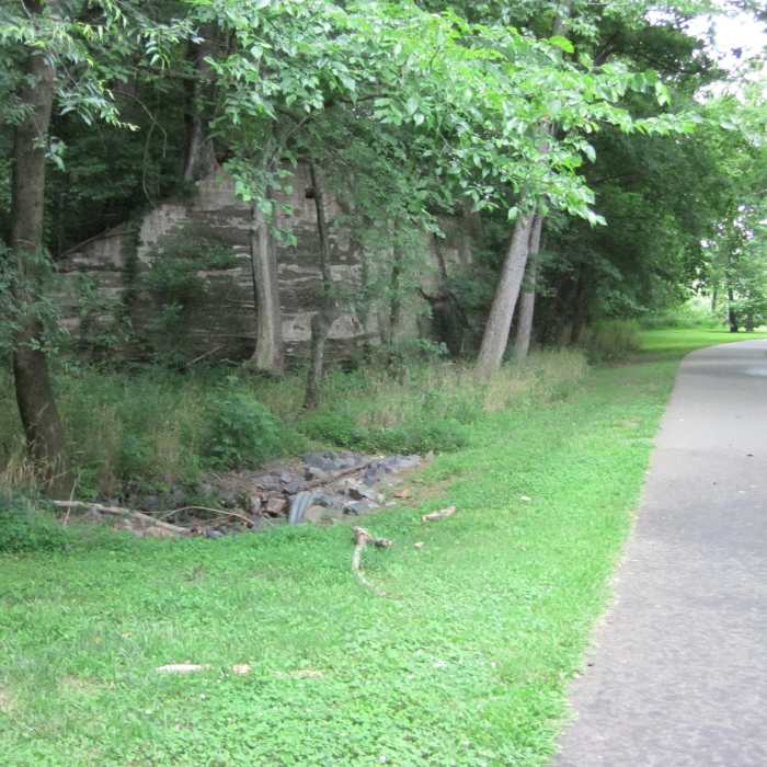 Near Mallard Creek Greenway