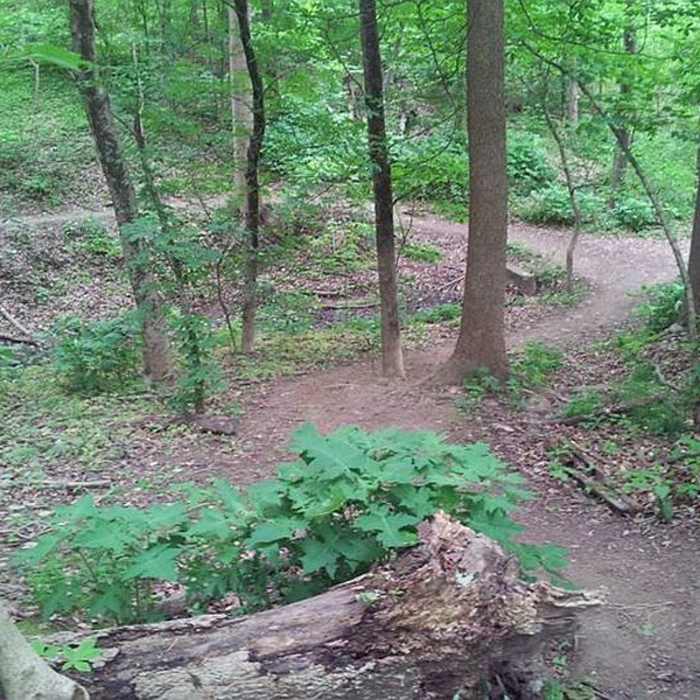 Near Cherokee Park Loop