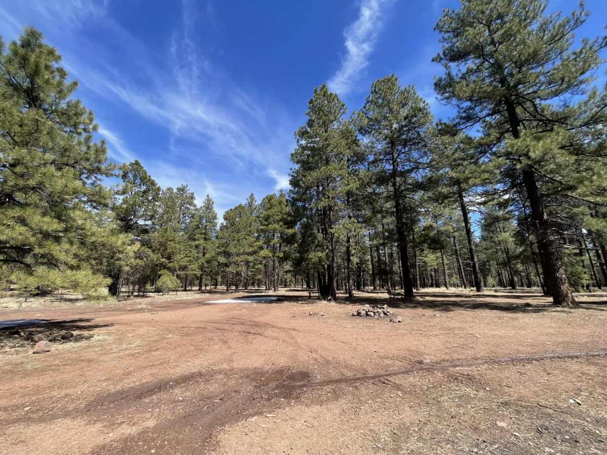 Gobbler Springs Road photo 2