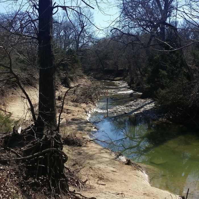 Near Spring Creek Forest Park Trail