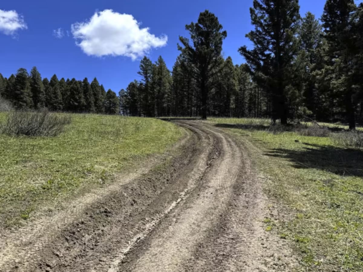 Pete Creek Trail photo 3