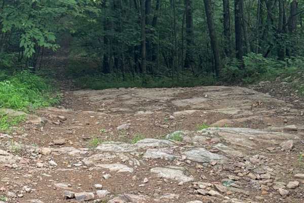 Trail 78