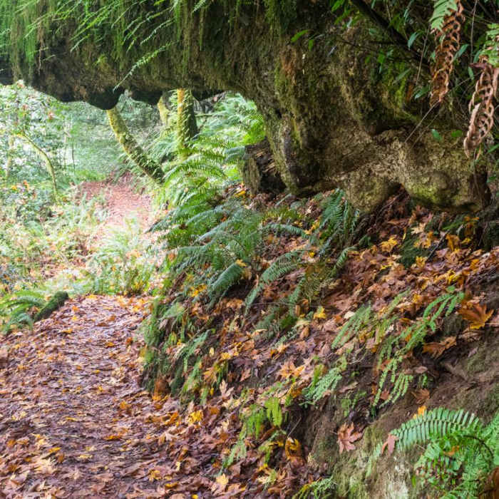 Near Riverview Trail