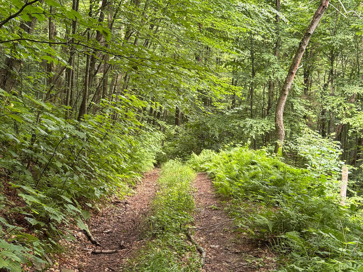 Trail 34 photo 6
