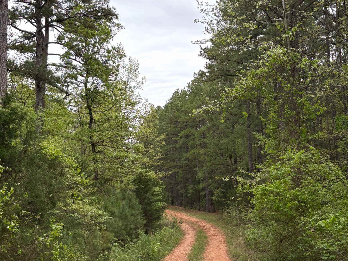 OHT Twin Creek  photo 2