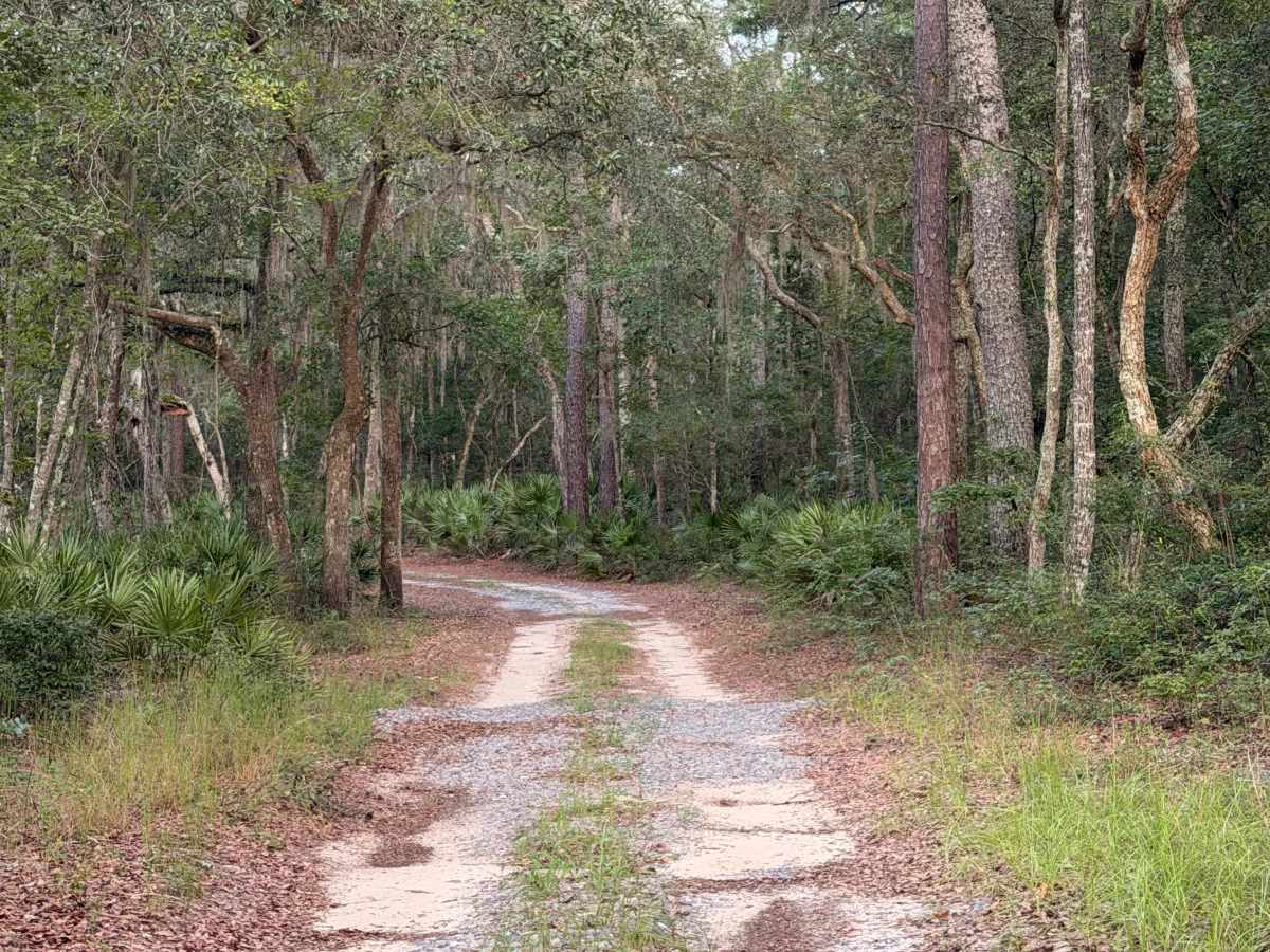 Johnson's Bridge Trail photo 5