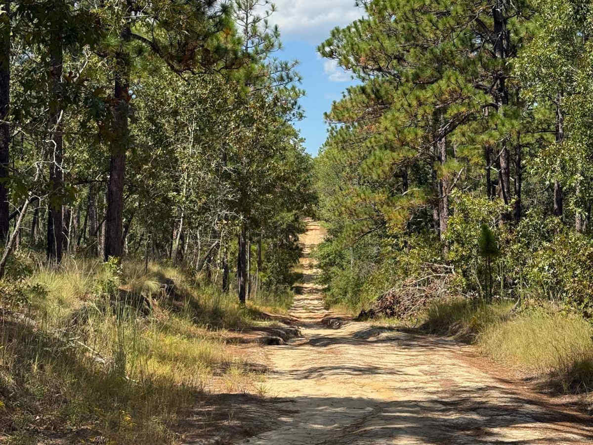 Naked Creek Lane photo 4