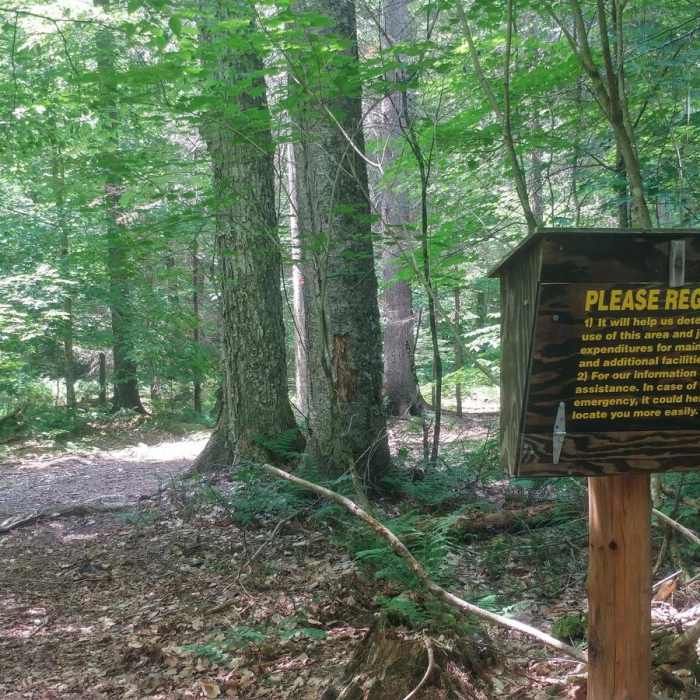 Near Whiteface Landing
