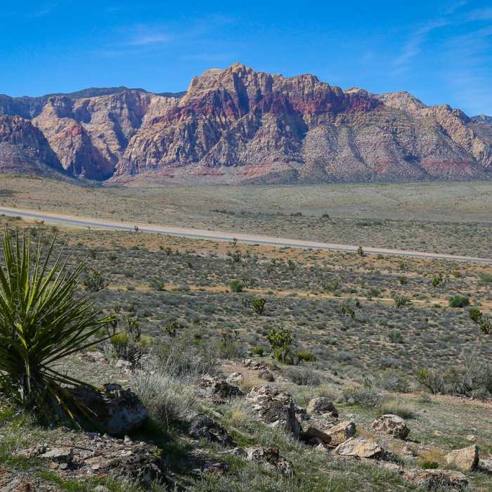Near Las Vegas Overlook Trail