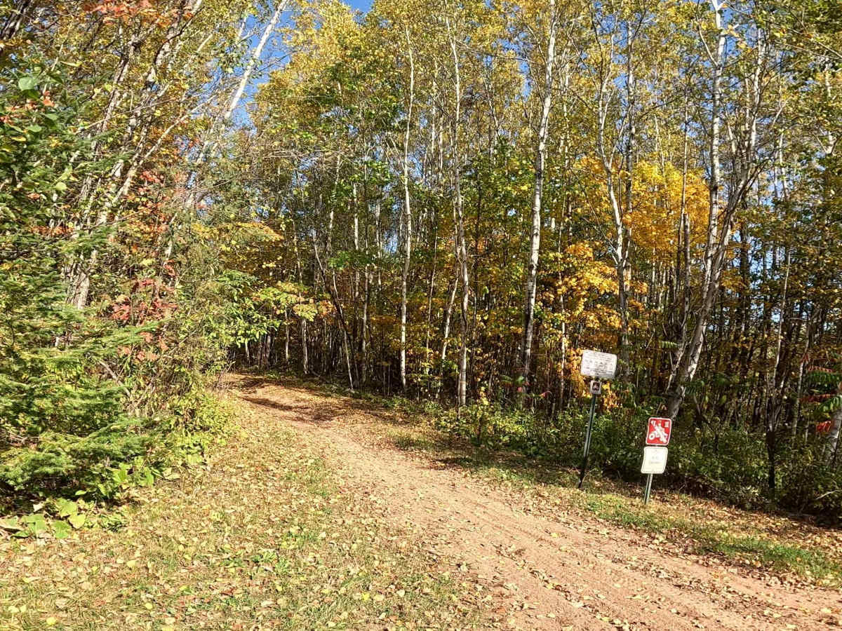 Tamarack Straight Arrow East Trail trail photo