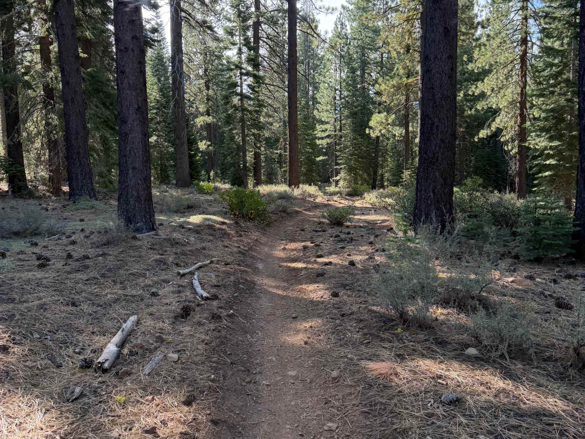 Boulder Dash photo 2