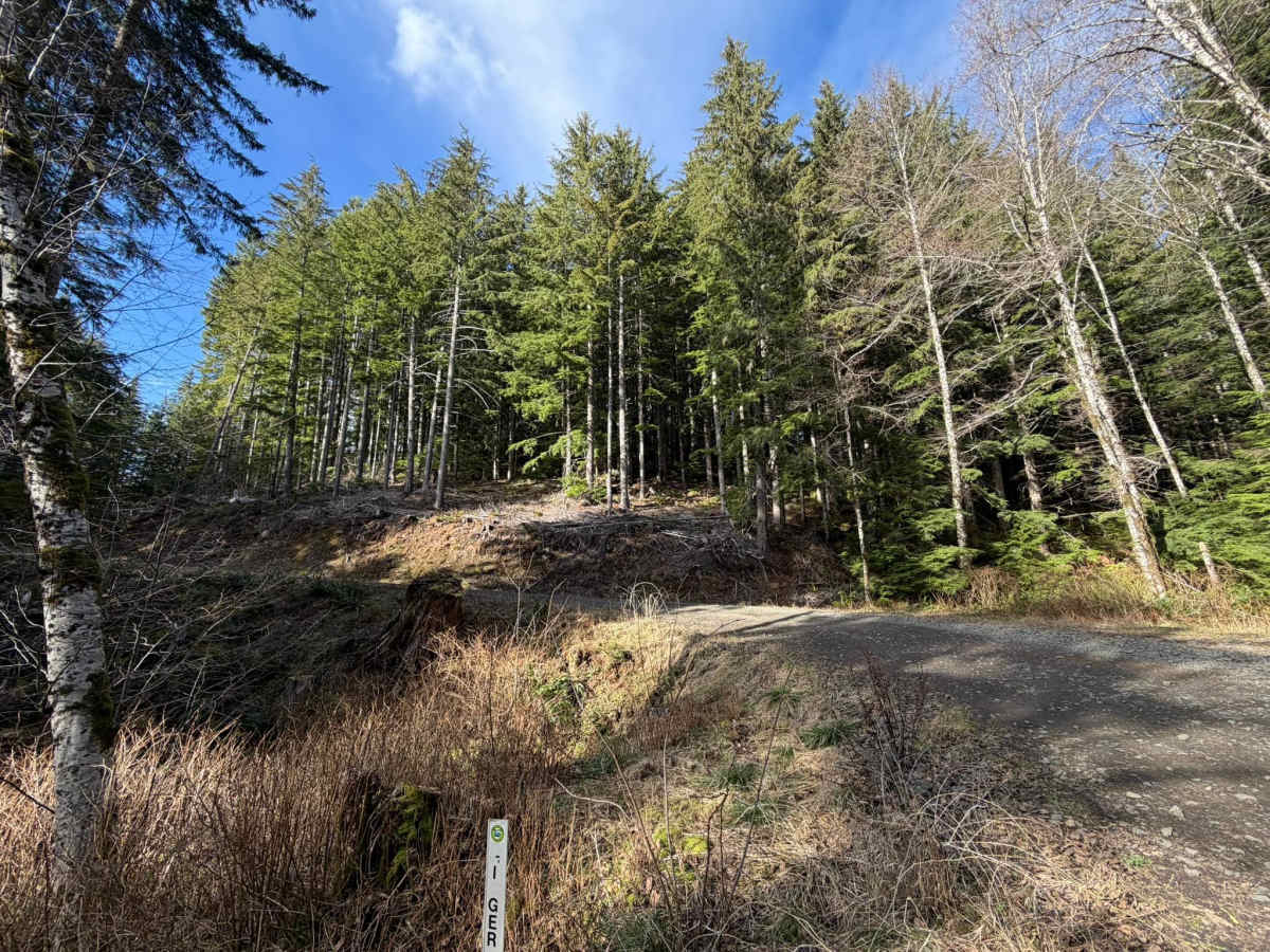 Ginger Creek Road photo 2
