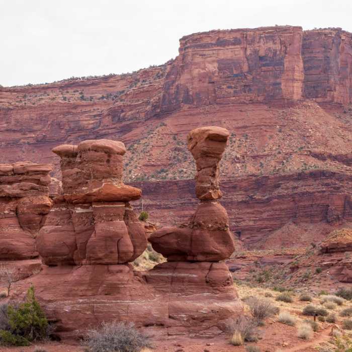 Near Amphitheater Loop Trail