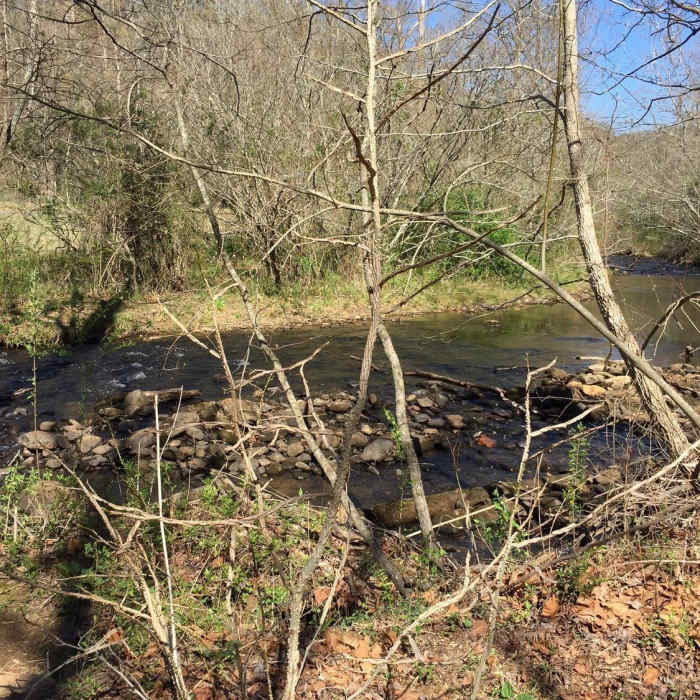 Smith Creek flows alongside the trail. Near Helen Trail