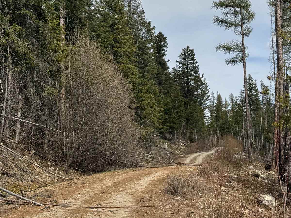 Dry Creek - FS 6100-350 photo 3