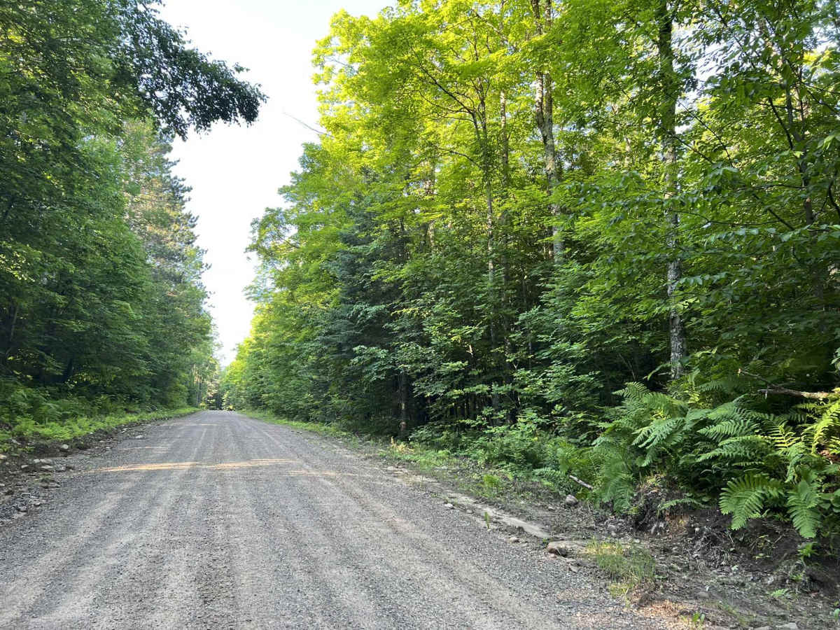 Johnson Road photo 3