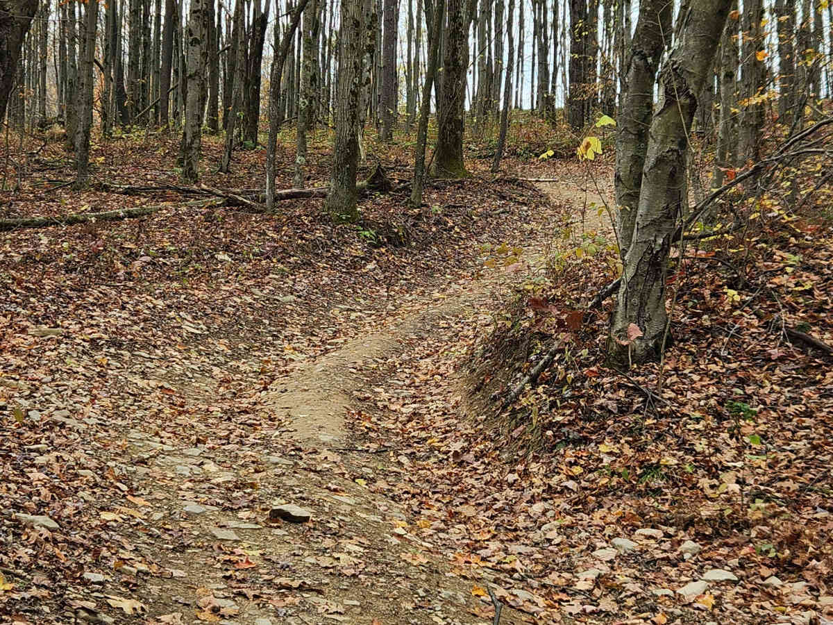 Outer Loop East - Rock Run Recreation Area photo 3