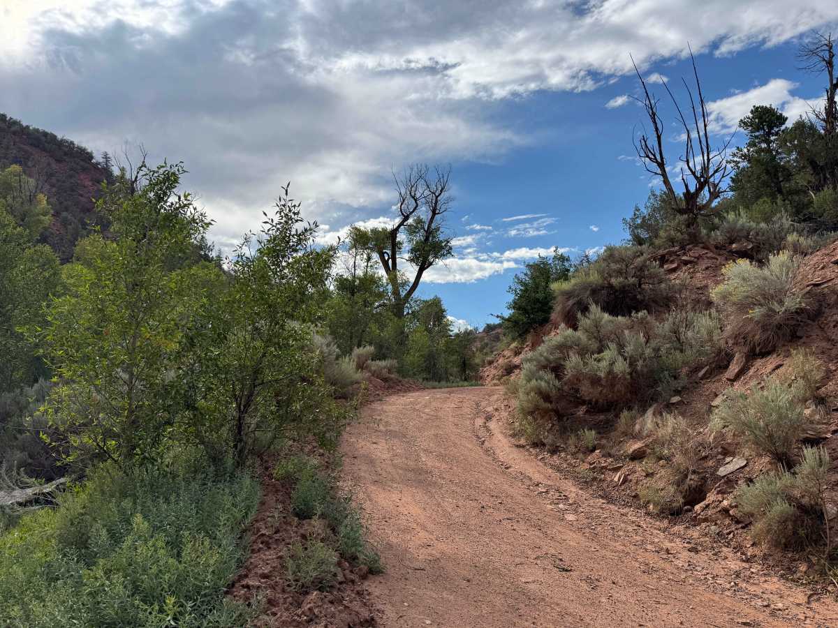 BLM 8458 photo 6