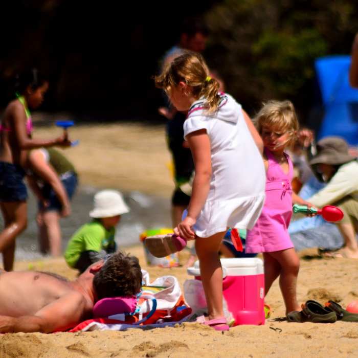 Near Jepson-Johnstone Beaches Loop