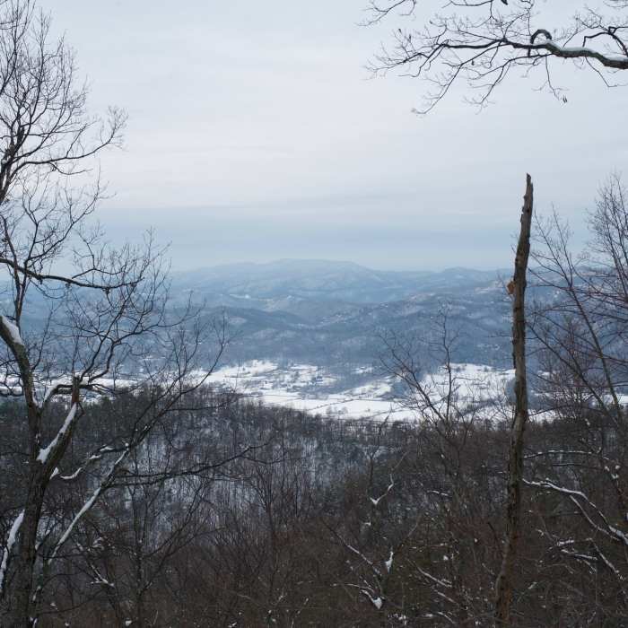 Near Little Greenbrier Trail