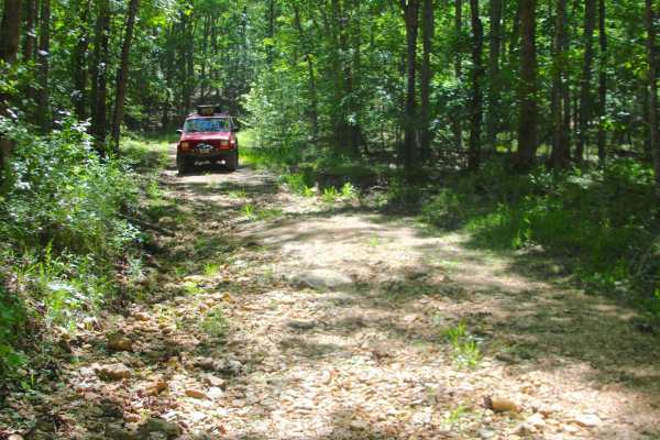 Grassy Hollow - FS 3714
