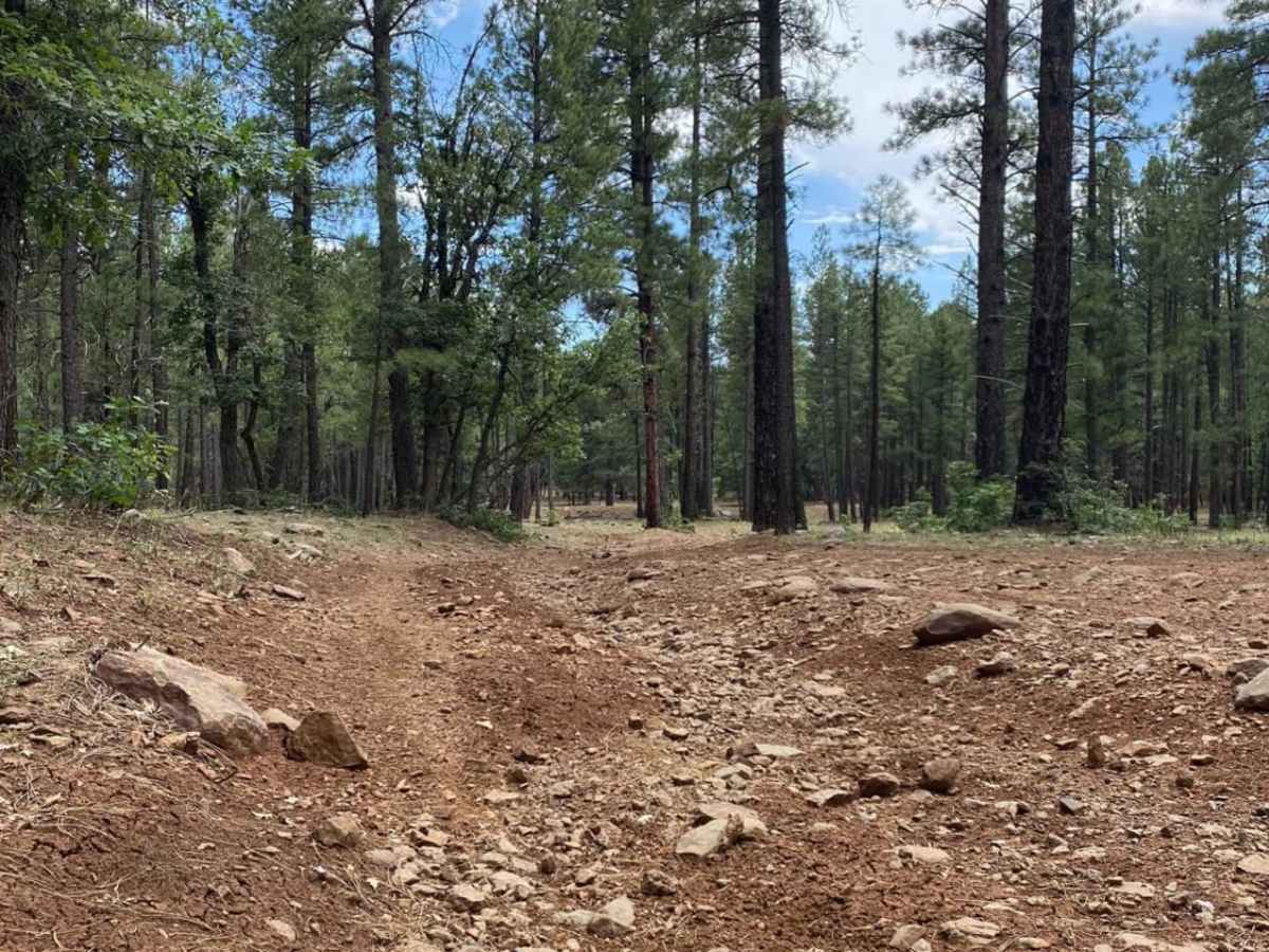 Thomas Point Connector photo 3