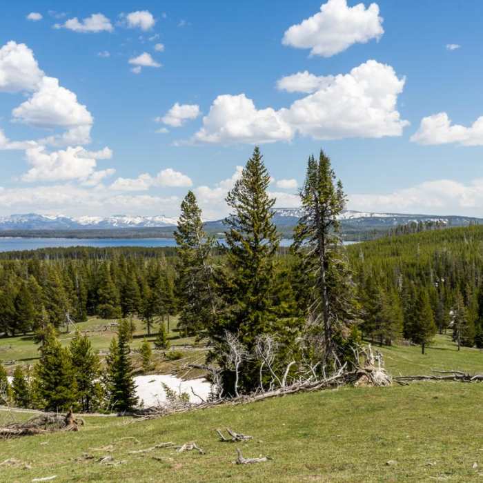 Near Lake Overlook Trail Near Lake Overlook Trail