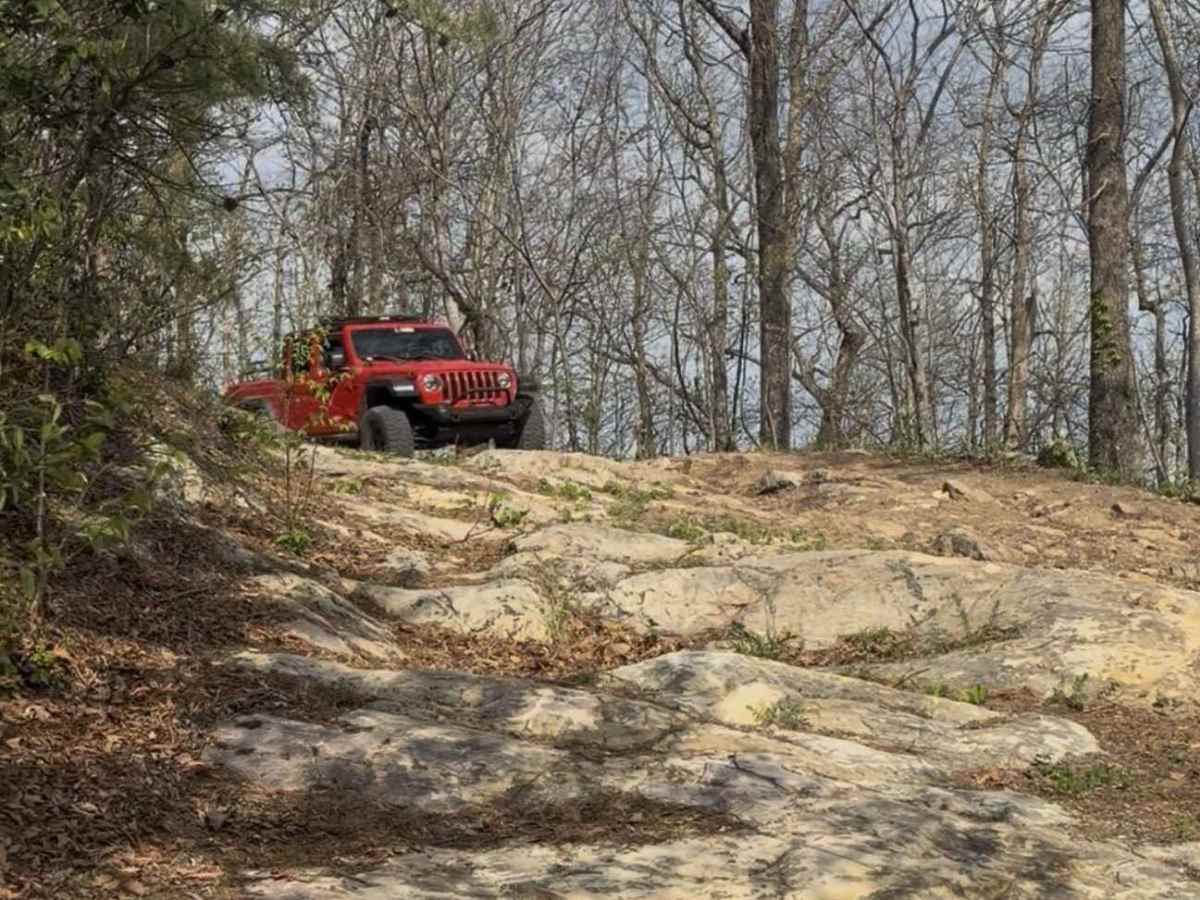 Fire Tower Scramble  photo 6