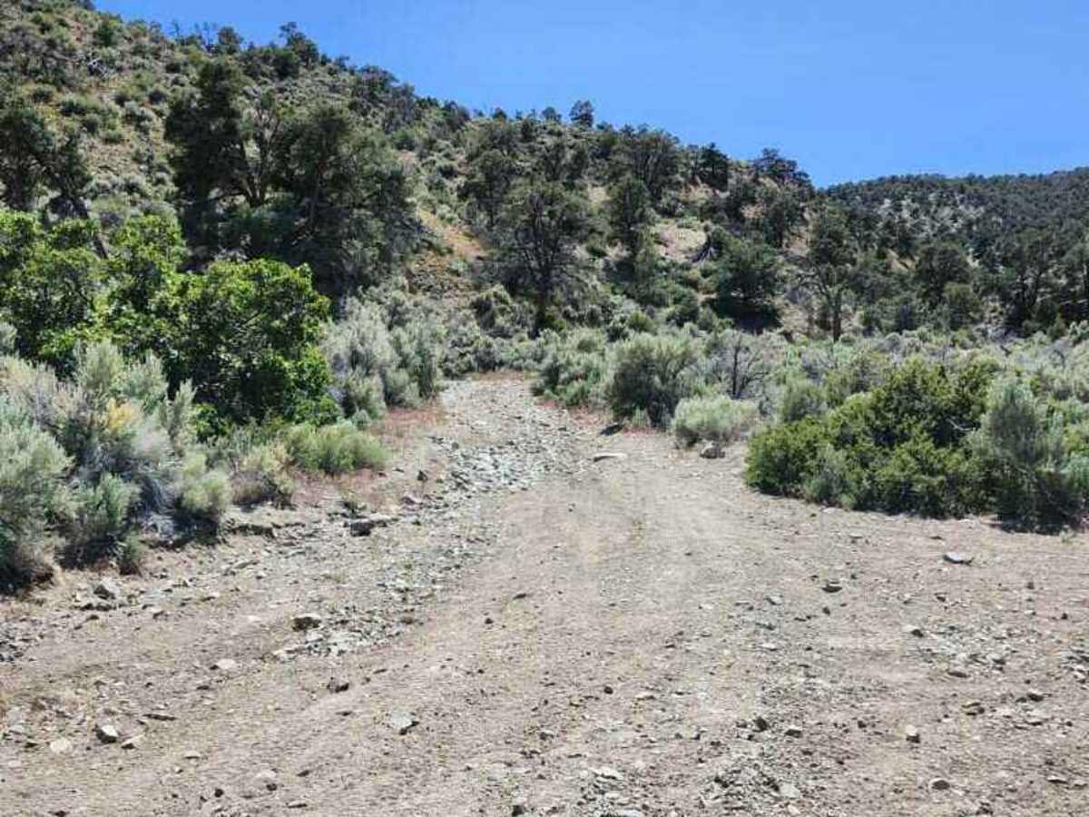 Pine Grove Summit photo 5