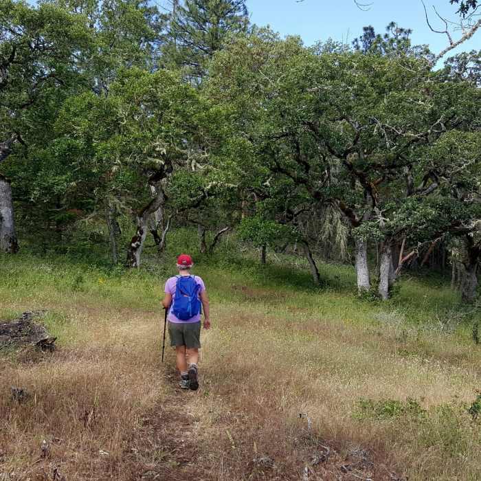 Near Equestrian Loop Trail