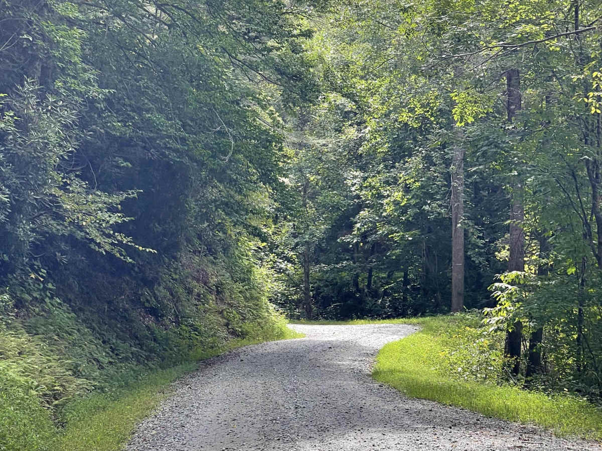 Waterfalls Road trail photo
