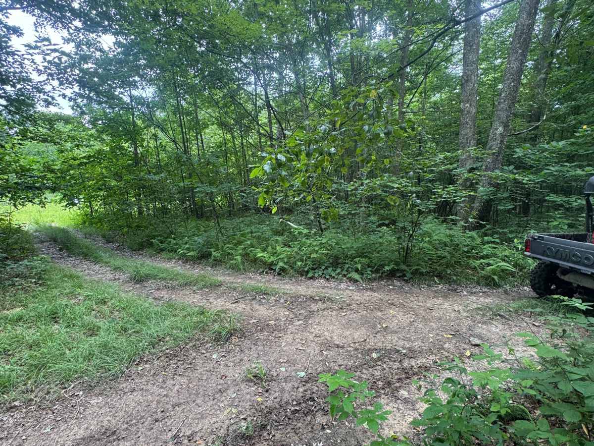 Trail 89 photo 5