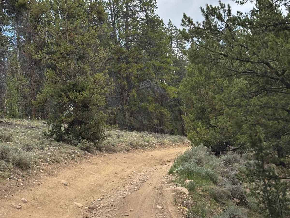 Texas Cotton Wood Road Extension photo 3