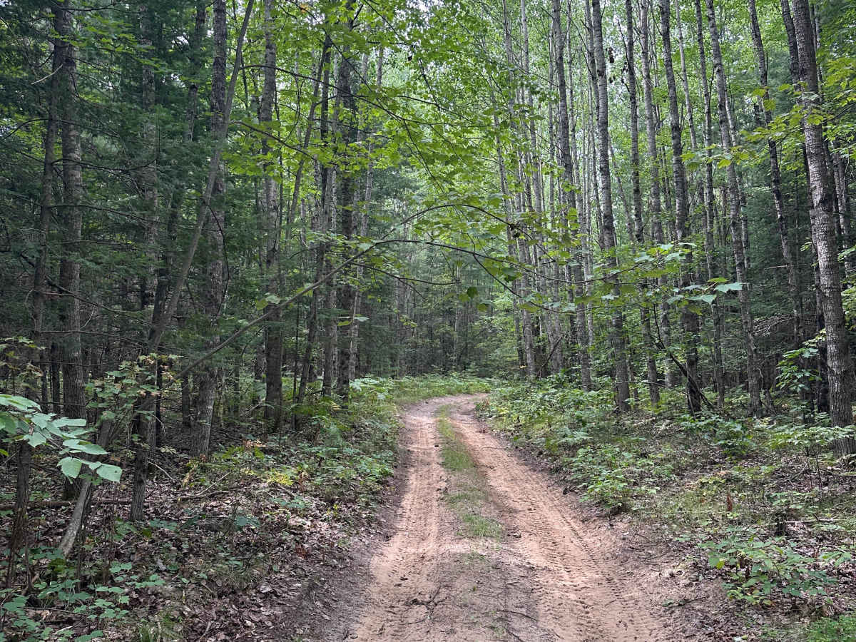 Paddle Trail Cutover  photo 6