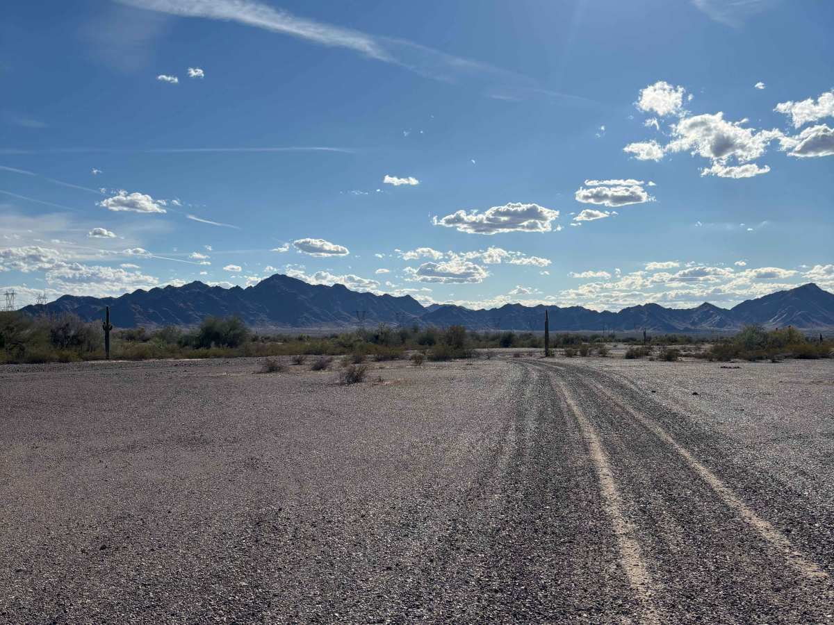 BLM 0102M photo 3