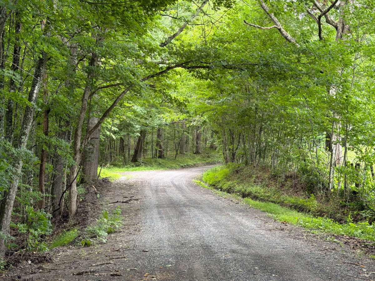 George Hill Road trail photo